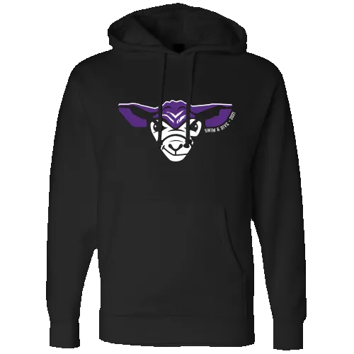 Fort Collins HS Boys Team Hoody