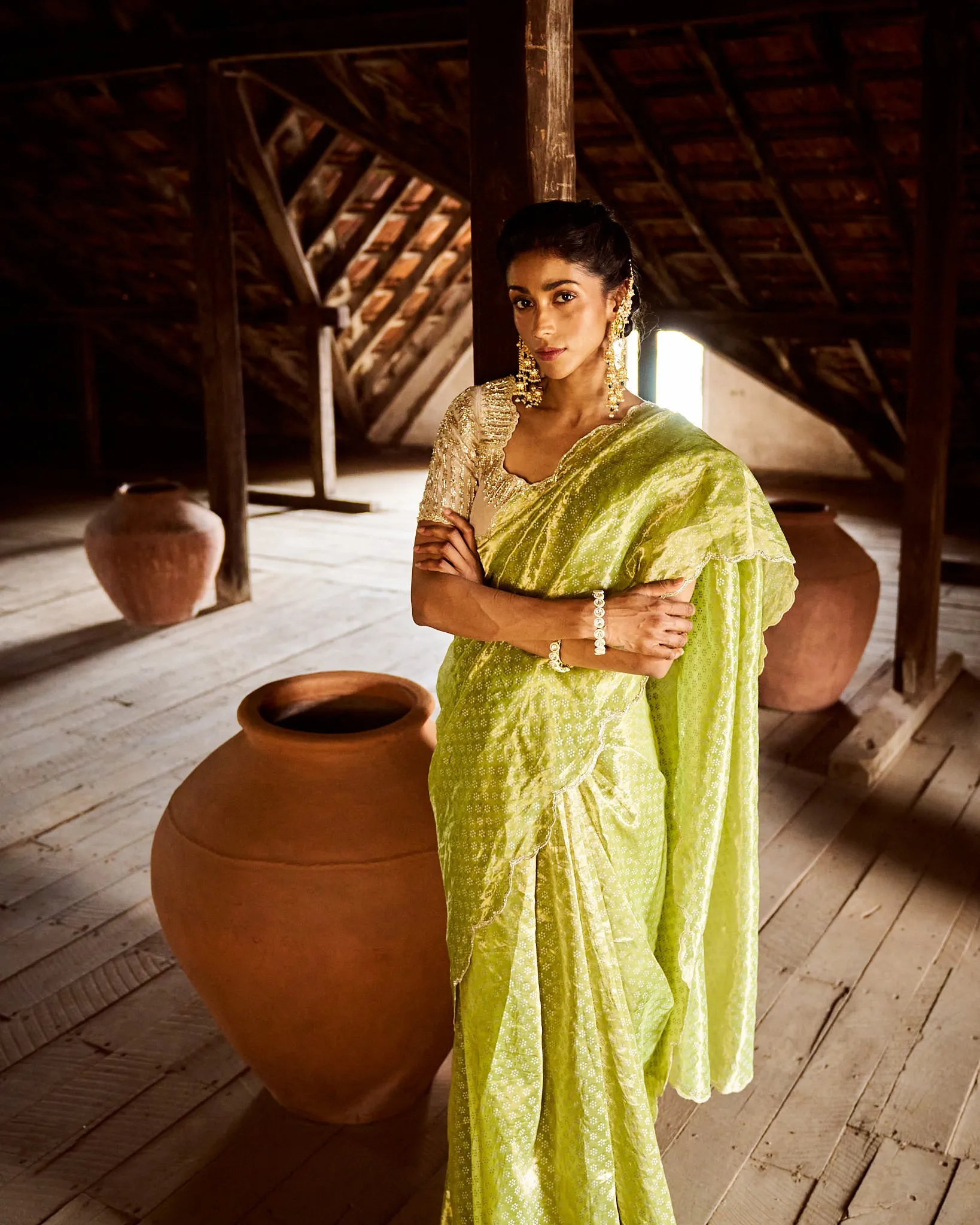 Ishara printed tissue saree with blouse- apple green