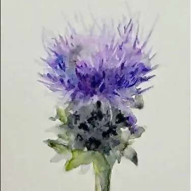 Thistle - Framed Watercolor on Cotton Paper