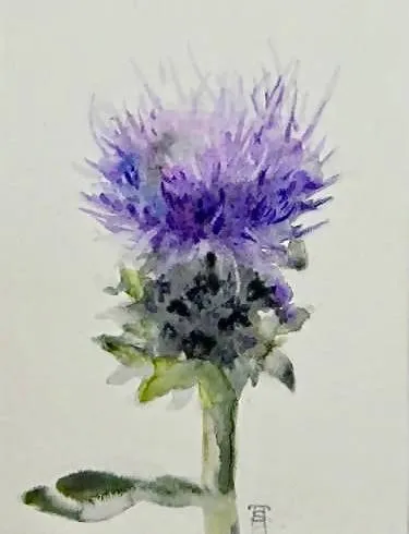 Thistle - Framed Watercolor on Cotton Paper