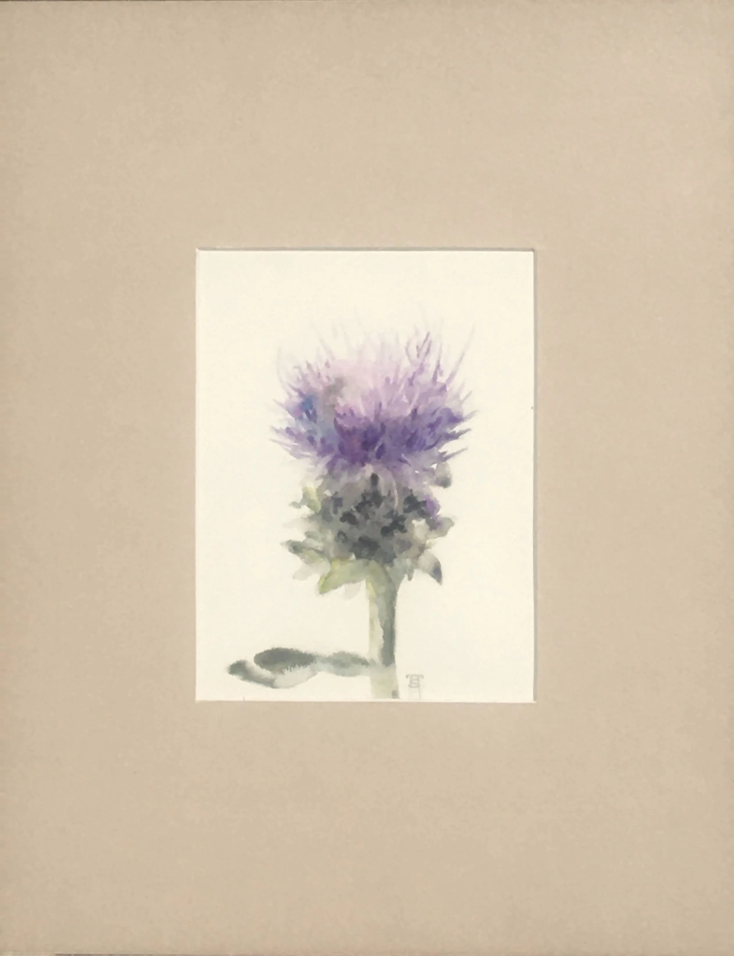 Thistle - Framed Watercolor on Cotton Paper